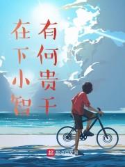 在下小智，有何贵干封面