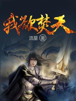 我欲焚天封面