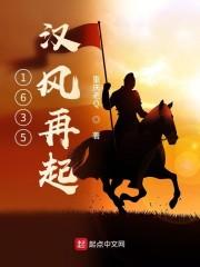 1635汉风再起封面