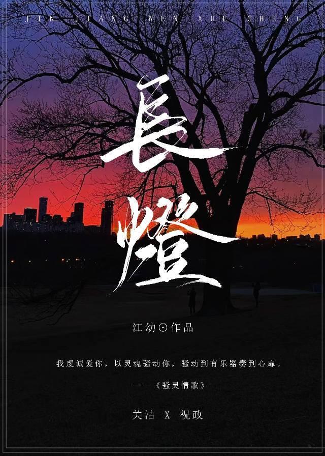长灯封面