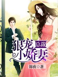 总裁狠宠小娇妻封面