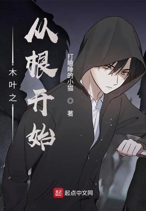 木叶之从根开始封面