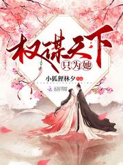 权谋天下只为她封面