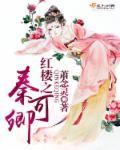 红楼之秦可卿封面