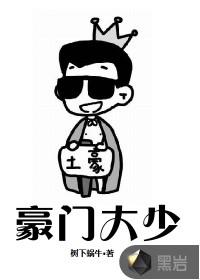 豪门大少封面