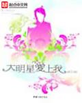 大明星爱上我封面