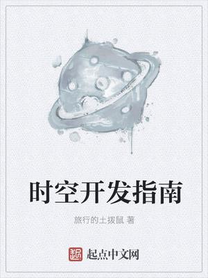 时空开发指南封面