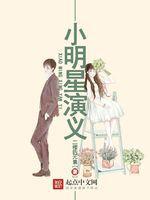 小明星演义封面