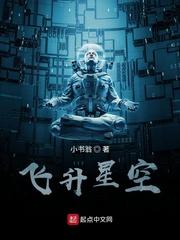 飞升星空封面