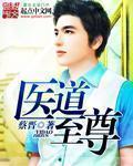 医道至尊封面