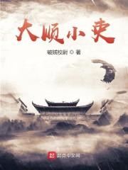 大顺小吏封面