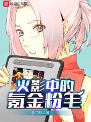 木叶中的氪金粉毛封面