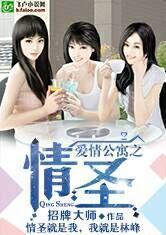 爱情公寓之情圣封面