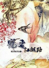 《宠妻江湖路》封面