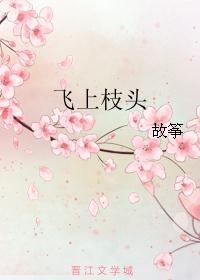 飞上枝头封面