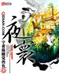 夜寰封面