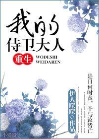 我的侍卫大人（重生）封面