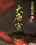 大唐宦封面