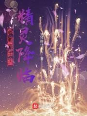 假面骑士：精灵降临封面