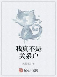我真不是关系户封面