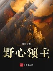 野心领主封面