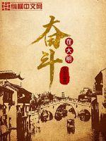 奋斗在大明封面