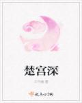 楚宫深深燃艋封面