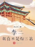 家兄李世民封面
