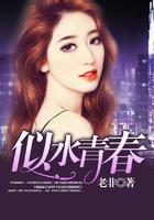 似水青春封面