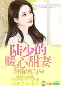 婚前婚后，陆少的暖心甜妻封面