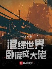 港岛影视卧底封面