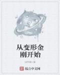 从变形金刚开始封面