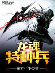 龙魂特种兵封面