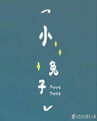 小兔子封面