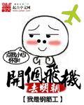 开个飞机去明朝封面