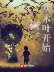 诸天之从木叶开始封面