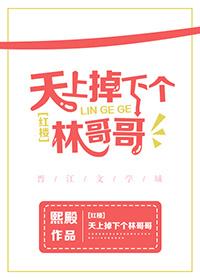 [红楼]天上掉下个林哥哥封面