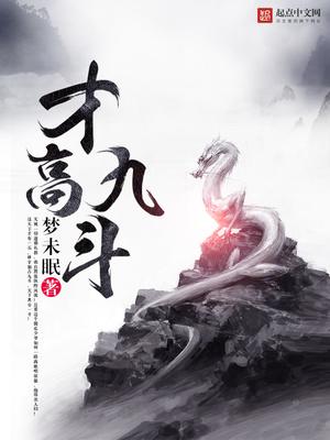 才高九斗封面