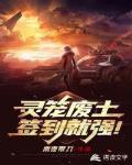 灵笼废土：签到就强！封面