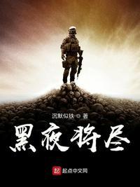 黑夜将尽封面