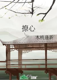 撩心封面