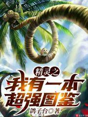 精灵之我有一本超强图鉴封面
