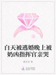 白天被逃婚晚上被奶凶指挥官求抱抱封面