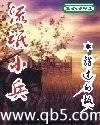 流氓小兵封面