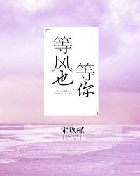 等风也等你封面