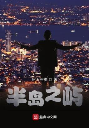 半岛之屿封面