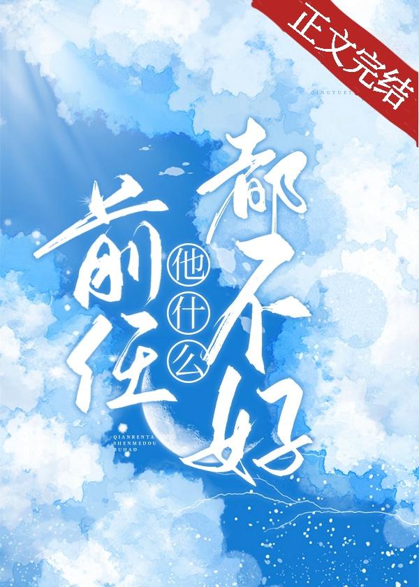 前任他什么都不好封面