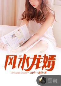 风水龙婿封面