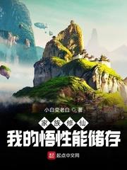 家族我的悟性能存储封面