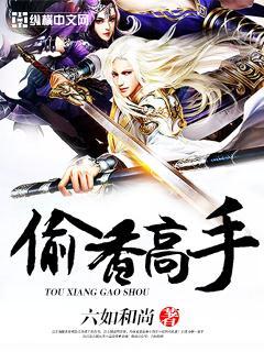 偷香高手无删减封面